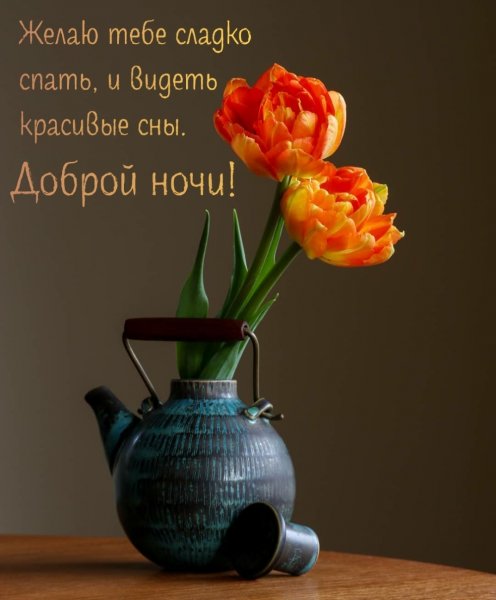 Доброй ночи креативные пожелания