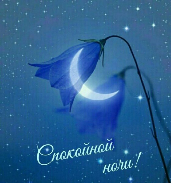 Красивой ночи и добрых снов
