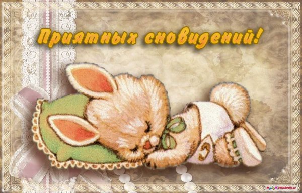 Спокойной ночи зайчик