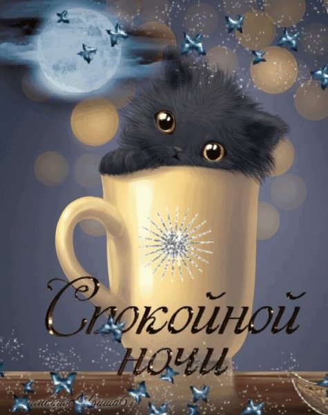 Хорошей ночи