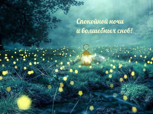Сказочных сновидений