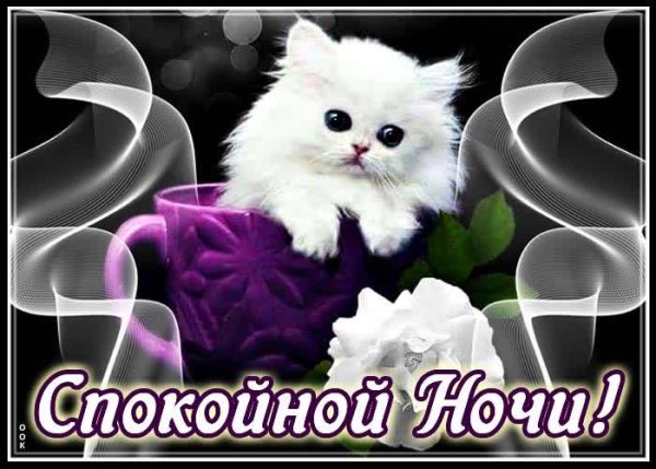 Открытки спокойной ночи с котятами красивые