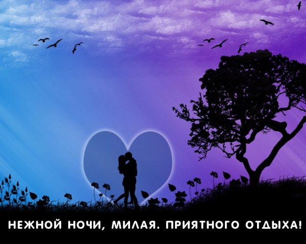 Картинки про любовь
