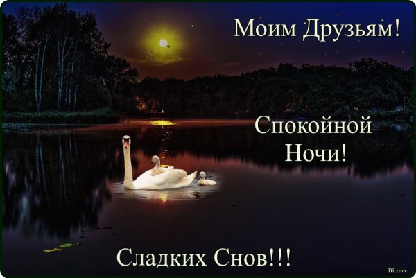 Спокойной тихой ночи