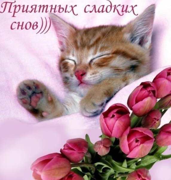 Самых сладких снов