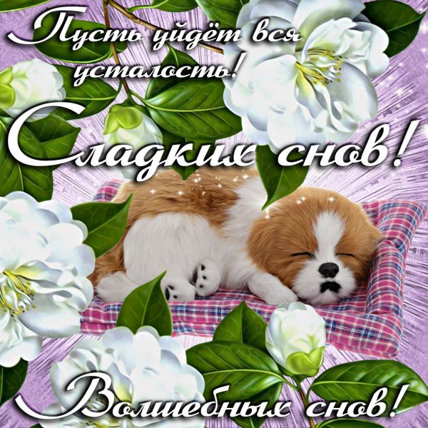 Доброй ночи приятных