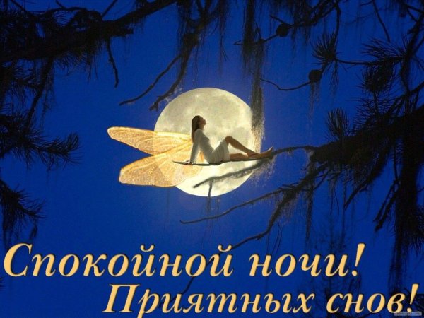 Пожелания спокойной ночи