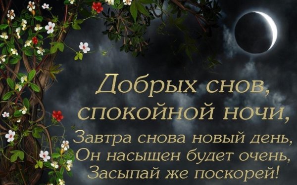 Доброй ночи до завтра