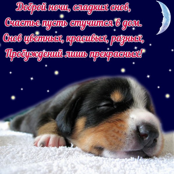 Доброй ночи сладких снов