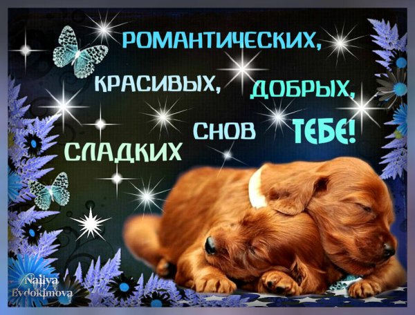 Доброй ночи сладких снов