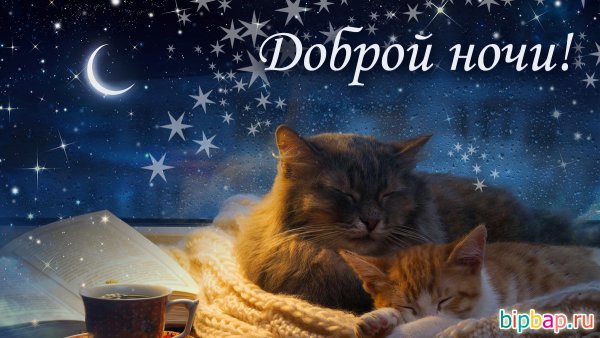 Хорошей ночи