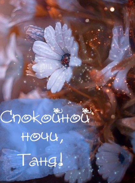 Спокойной ночи Танюша