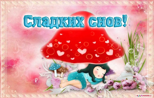Спокойной ночи сладких снов