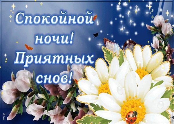 Красивые букеты с пожеланиями спокойной ночи