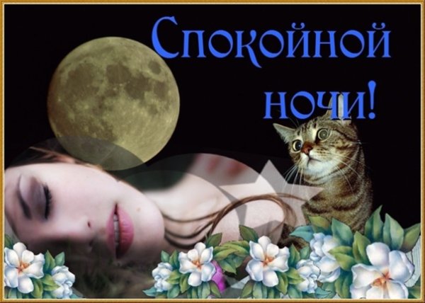 Спокойной весенней ночи сладких снов