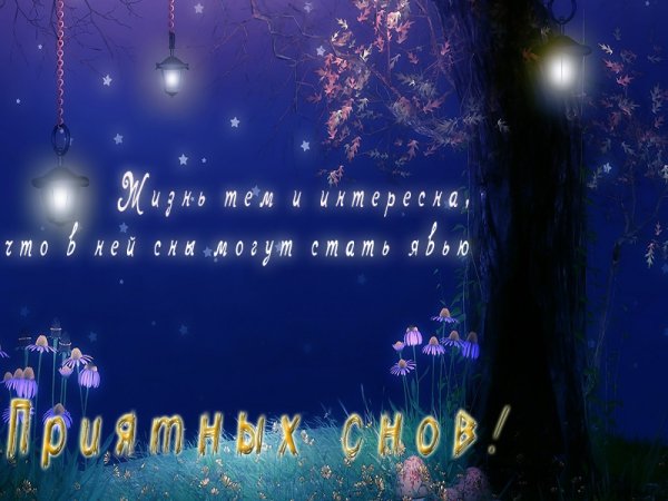 Желаю доброй ночи и снов приятных