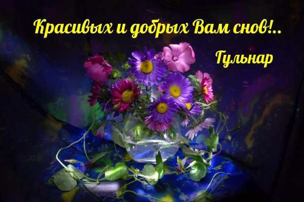 Доброй вам ночи