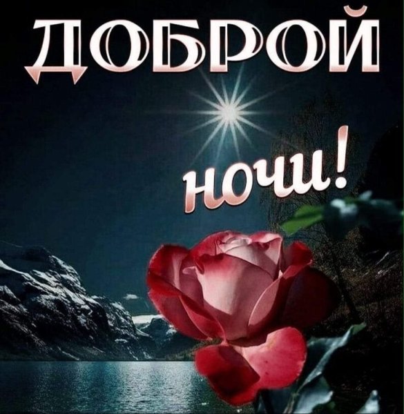 Спокойной ночи нежных снов