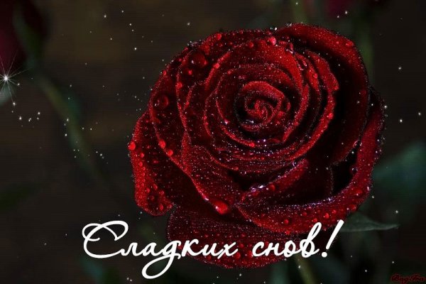 Спокойной ночи розы