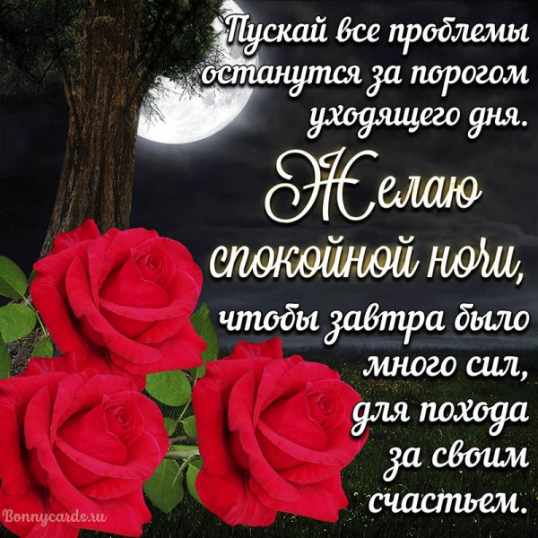 Красивые букеты спокойной ночи