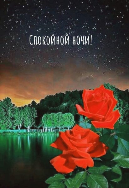 Доброй ночи с пожеланиями и букетами