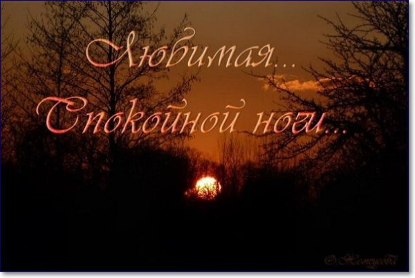 Спокойной ночи мой родной