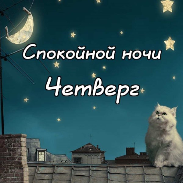 Спокойной ночи завтра пятница