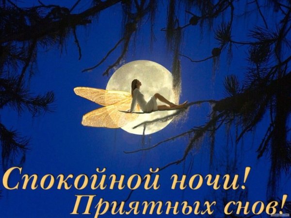 Спокойной ночи приятных снов