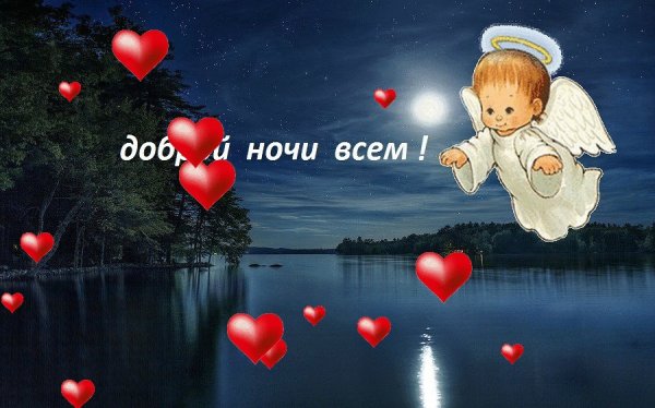 Спокойной ночи сладких снов