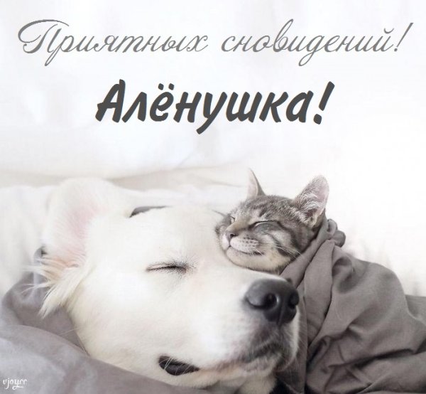 Спокойной ночи алёна картинки