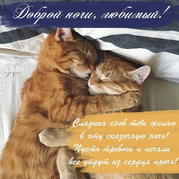 Сладких снов сестренка