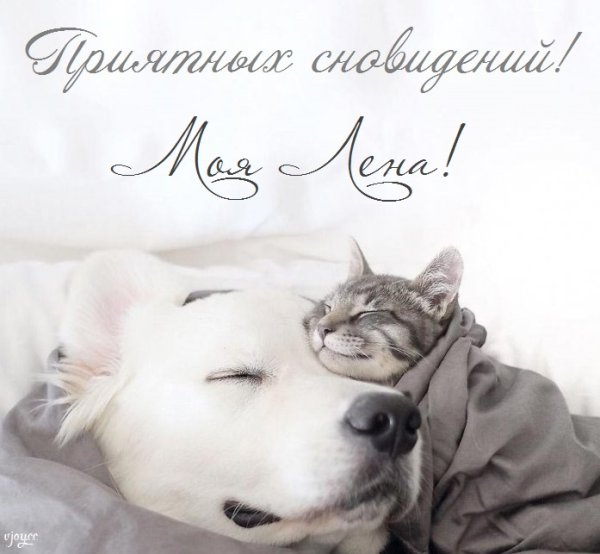 Спокойной ночи Лена