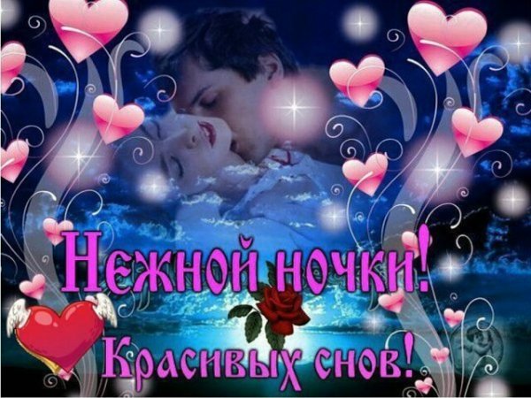 Спокойной ночи сладких снов целую