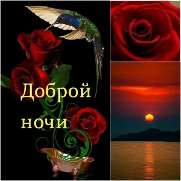 Благословенной ночи