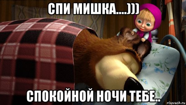 Спокойной ночи мишка спит