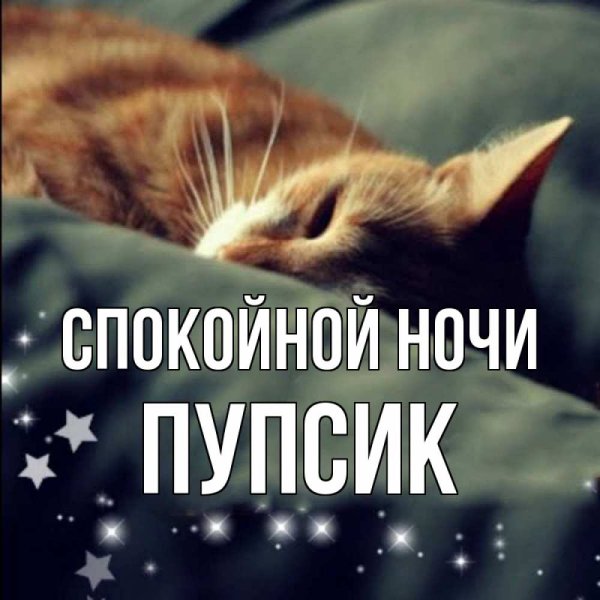 Спокойной ночи пупсик мой