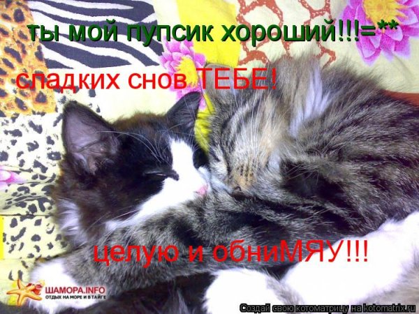 Мотиватор спокойной ночи