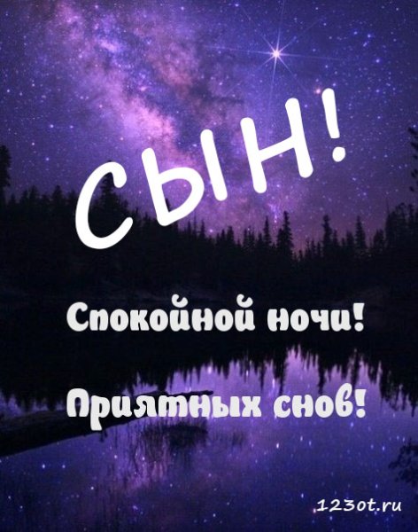 Спокойной ночи сынок