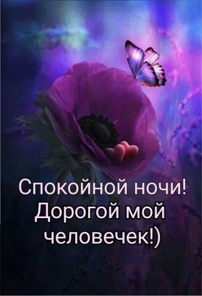 Спокойной ночи друзья