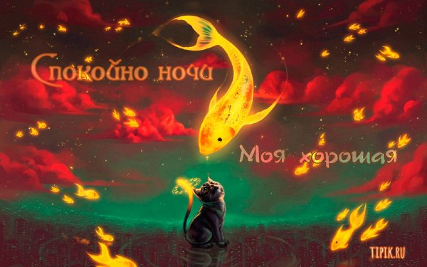 Спокойной ночи мой хороший