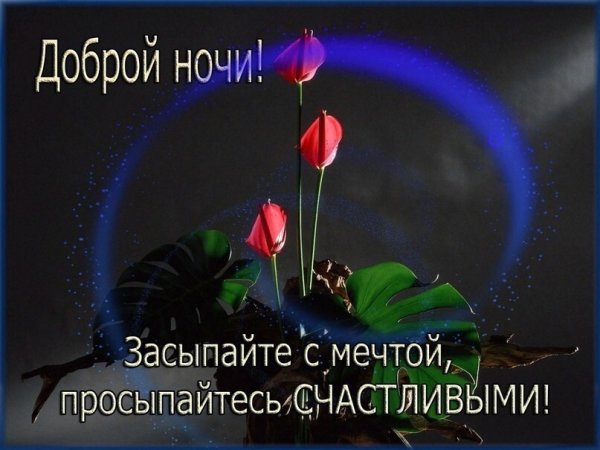Спокойной ночи пусть тебе приснится