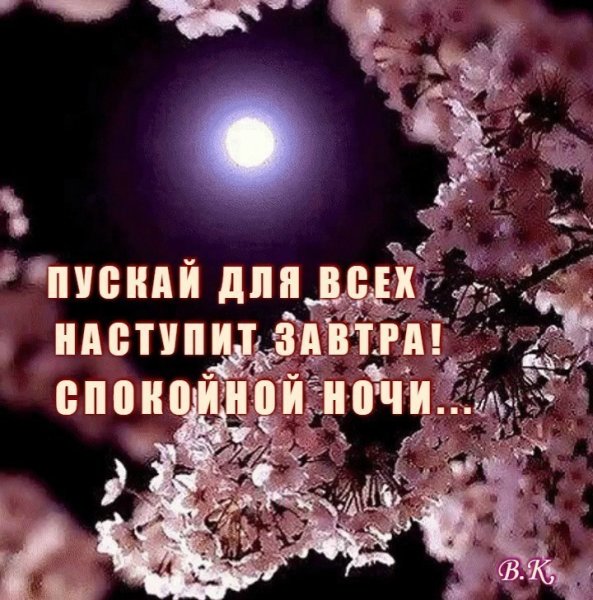 Сладких снов