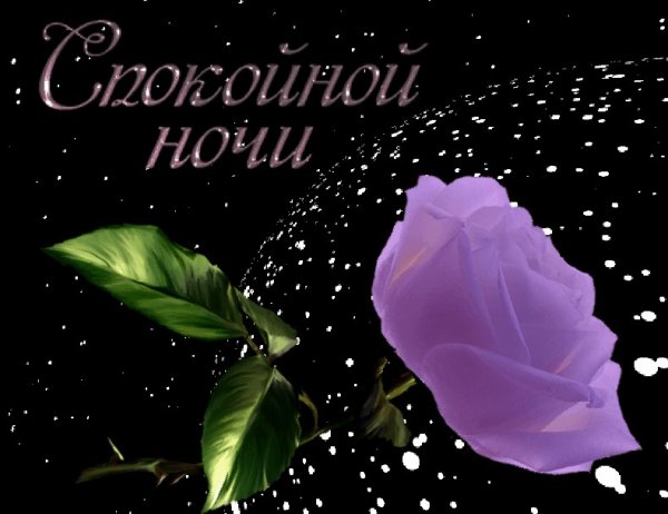 Спокойной ночи до завтра
