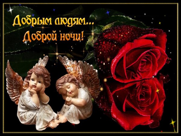 Бодрой ночки