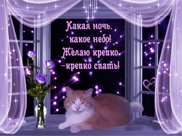 Пожелания спокойной ночи