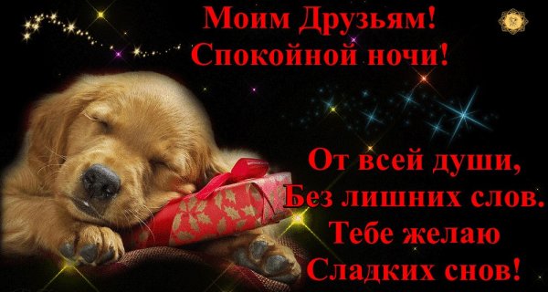 Цветы с пожеланием спокойной ночи