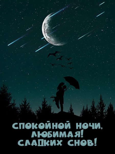 Спокойной ночкилюбимая