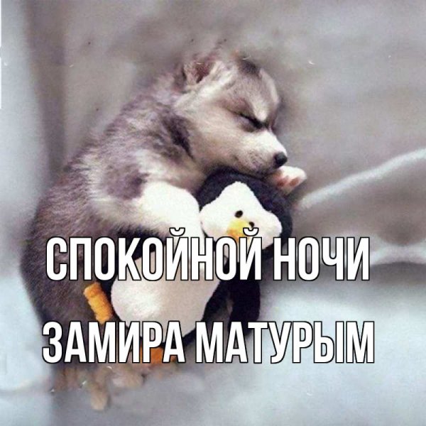 Милые спящие котята