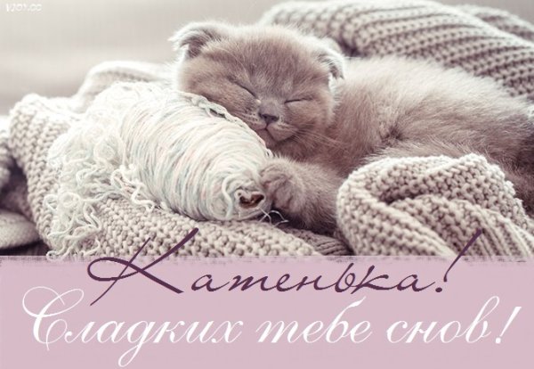 Доброй ночи Екатерина
