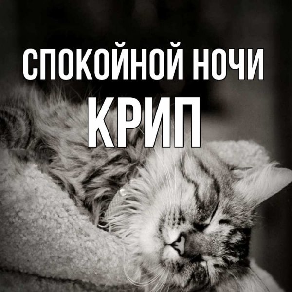 Спокойной ночи мышка